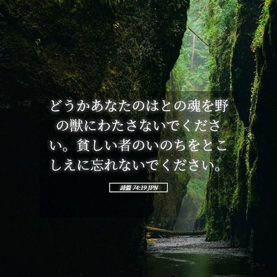 Picture 05 - 詩篇 74:19 JPN - どうかあなたのはとの魂を野の獣に - Bible Verse Picture