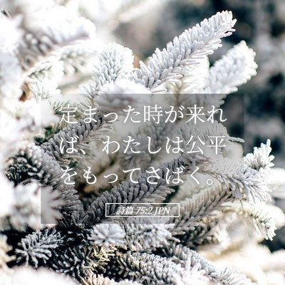 Picture 05 - 詩篇 75:2 JPN - 定まった時が来れば、わたしは公平 - Bible Verse Picture