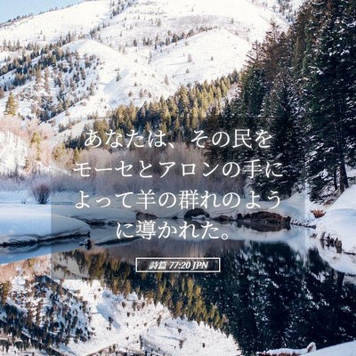 Picture 05 - 詩篇 77:20 JPN - あなたは、その民をモーセとアロン - Bible Verse Picture