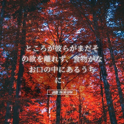 Picture 05 - 詩篇 78:30 JPN - ところが彼らがまだその欲を離れず - Bible Verse Picture
