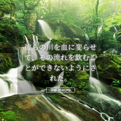 Picture 05 - 詩篇 78:44 JPN - 彼らの川を血に変らせて、その流れ - Bible Verse Picture