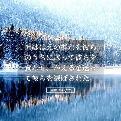 Picture 05 - 詩篇 78:45 JPN - 神ははえの群れを彼らのうちに送っ - Bible Verse Picture