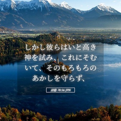 Picture 05 - 詩篇 78:56 JPN - しかし彼らはいと高き神を試み、こ - Bible Verse Picture