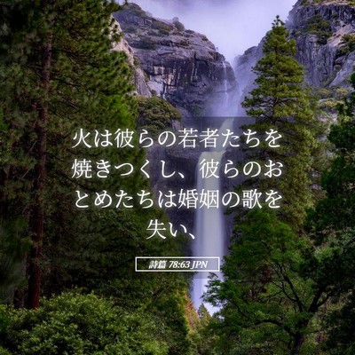 Picture 05 - 詩篇 78:63 JPN - 火は彼らの若者たちを焼きつくし、 - Bible Verse Picture