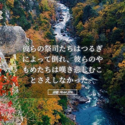 Picture 05 - 詩篇 78:64 JPN - 彼らの祭司たちはつるぎによって倒 - Bible Verse Picture