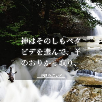 Picture 05 - 詩篇 78:70 JPN - 神はそのしもべダビデを選んで、羊 - Bible Verse Picture