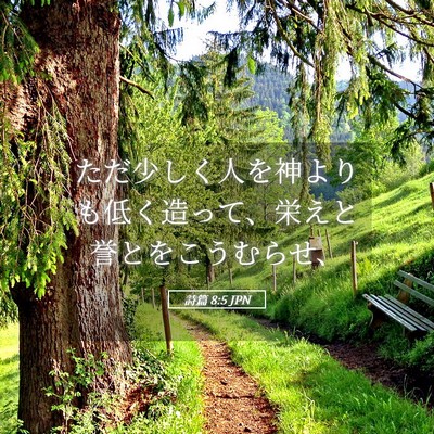 Picture 05 - 詩篇 8:5 JPN - ただ少しく人を神よりも低く造って - Bible Verse Picture