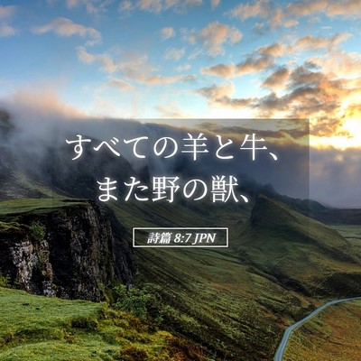 Picture 05 - 詩篇 8:7 JPN - すべての羊と牛、また野の獣、 - Bible Verse Picture