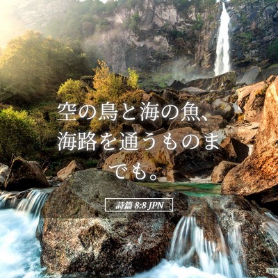 Picture 05 - 詩篇 8:8 JPN - 空の鳥と海の魚、海路を通うものま - Bible Verse Picture