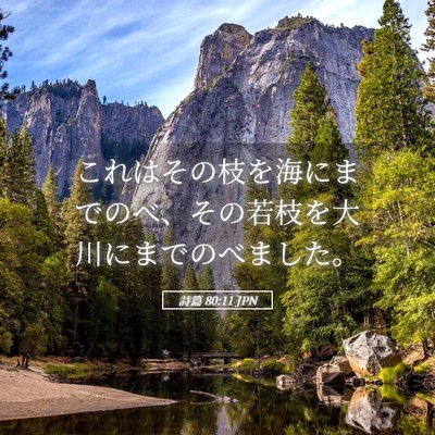 Picture 05 - 詩篇 80:11 JPN - これはその枝を海にまでのべ、その - Bible Verse Picture