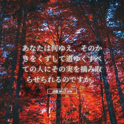 Picture 05 - 詩篇 80:12 JPN - あなたは何ゆえ、そのかきをくずし - Bible Verse Picture