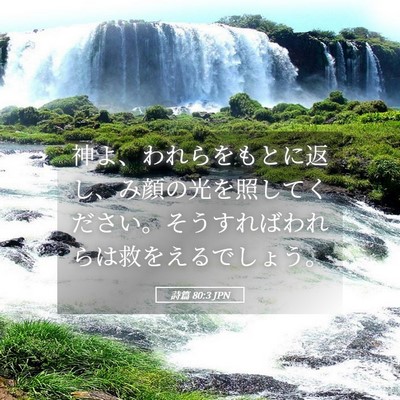 Picture 05 - 詩篇 80:3 JPN - 神よ、われらをもとに返し、み顔の - Bible Verse Picture