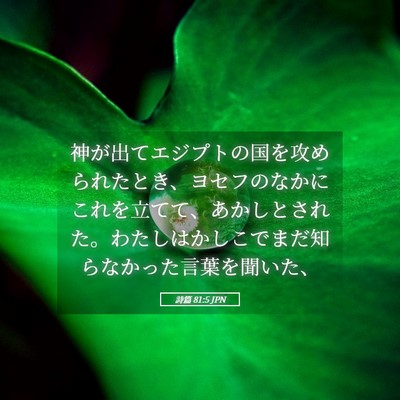 Picture 05 - 詩篇 81:5 JPN - 神が出てエジプトの国を攻められた - Bible Verse Picture