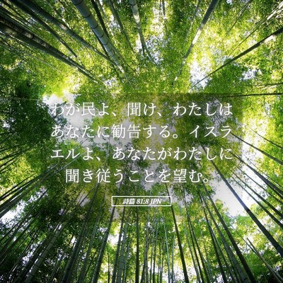 Picture 05 - 詩篇 81:8 JPN - わが民よ、聞け、わたしはあなたに - Bible Verse Picture