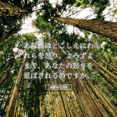 Picture 05 - 詩篇 85:5 JPN - あなたはとこしえにわれらを怒り、 - Bible Verse Picture