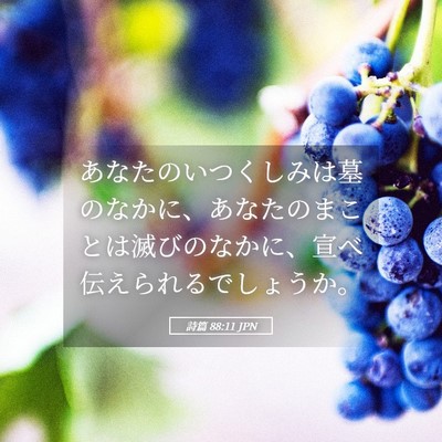 Picture 05 - 詩篇 88:11 JPN - あなたのいつくしみは墓のなかに、 - Bible Verse Picture