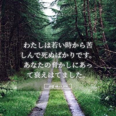 Picture 05 - 詩篇 88:15 JPN - わたしは若い時から苦しんで死ぬば - Bible Verse Picture