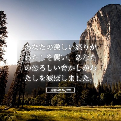 Picture 05 - 詩篇 88:16 JPN - あなたの激しい怒りがわたしを襲い - Bible Verse Picture