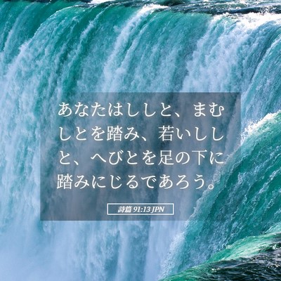 Picture 05 - 詩篇 91:13 JPN - あなたはししと、まむしとを踏み、 - Bible Verse Picture