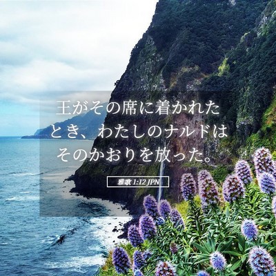 Picture 05 - 雅歌 1:12 JPN - 王がその席に着かれたとき、わたし - Bible Verse Picture