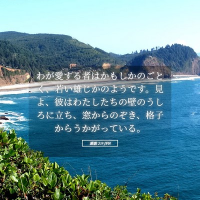 Picture 05 - 雅歌 2:9 JPN - わが愛する者はかもしかのごとく、 - Bible Verse Picture