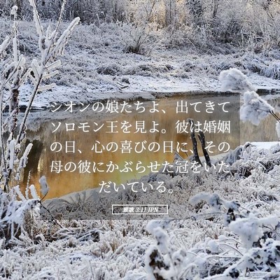 Picture 05 - 雅歌 3:11 JPN - シオンの娘たちよ、出てきてソロモ - Bible Verse Picture