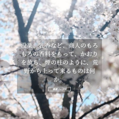Picture 05 - 雅歌 3:6 JPN - 没薬、乳香など、商人のもろもろの - Bible Verse Picture