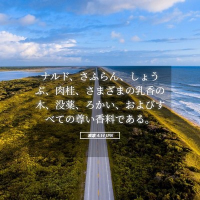 Picture 05 - 雅歌 4:14 JPN - ナルド、さふらん、しょうぶ、肉桂 - Bible Verse Picture