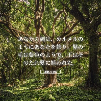 Picture 05 - 雅歌 7:5 JPN - あなたの頭は、カルメルのようにあ - Bible Verse Picture