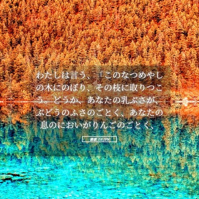 Picture 05 - 雅歌 7:8 JPN - わたしは言う、「このなつめやしの - Bible Verse Picture
