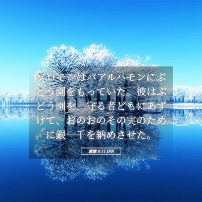 Picture 05 - 雅歌 8:11 JPN - ソロモンはバアルハモンにぶどう園 - Bible Verse Picture
