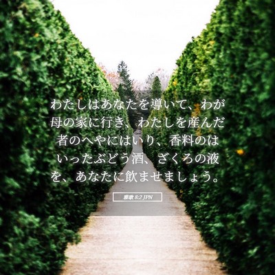 Picture 05 - 雅歌 8:2 JPN - わたしはあなたを導いて、わが母の - Bible Verse Picture