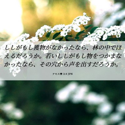 Picture 06 - アモス書 3:4 JPN - ししがもし獲物がなかったなら、林 - Bible Verse Picture