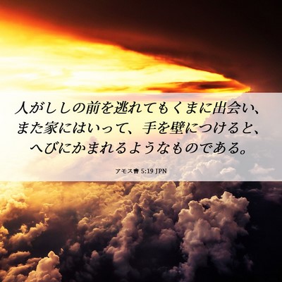 Picture 06 - アモス書 5:19 JPN - 人がししの前を逃れてもくまに出会 - Bible Verse Picture