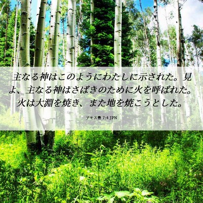 Picture 06 - アモス書 7:4 JPN - 主なる神はこのようにわたしに示さ - Bible Verse Picture