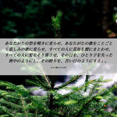 Picture 06 - アモス書 8:10 JPN - あなたがたの祭を嘆きに変らせ、あ - Bible Verse Picture