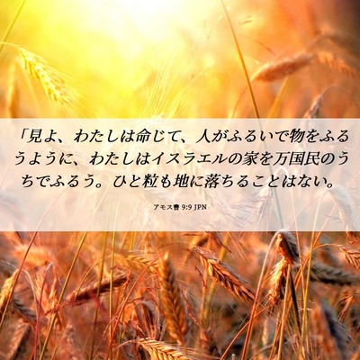 Picture 06 - アモス書 9:9 JPN - 「見よ、わたしは命じて、人がふる - Bible Verse Picture