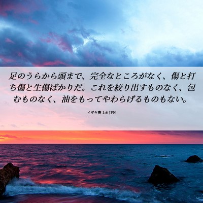 Picture 06 - イザヤ書 1:6 JPN - 足のうらから頭まで、完全なところ - Bible Verse Picture