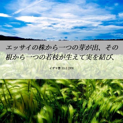 Picture 06 - イザヤ書 11:1 JPN - エッサイの株から一つの芽が出、そ - Bible Verse Picture