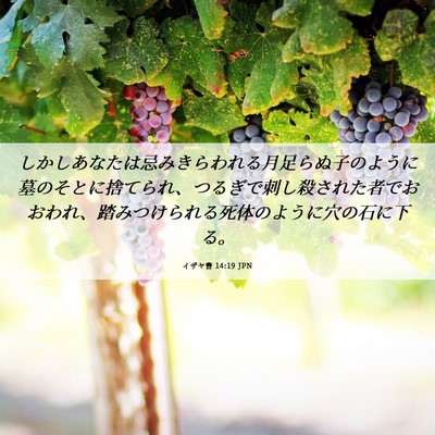 Picture 06 - イザヤ書 14:19 JPN - しかしあなたは忌みきらわれる月足 - Bible Verse Picture