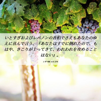 Picture 06 - イザヤ書 14:8 JPN - いとすぎおよびレバノンの香柏でさ - Bible Verse Picture