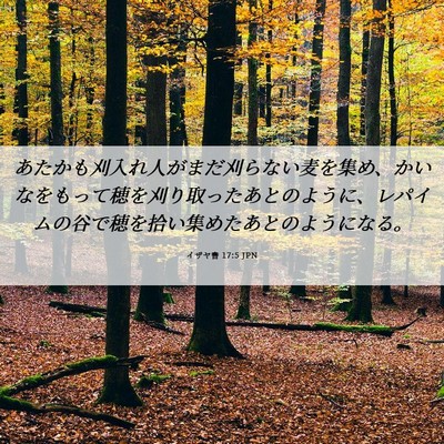 Picture 06 - イザヤ書 17:5 JPN - あたかも刈入れ人がまだ刈らない麦 - Bible Verse Picture