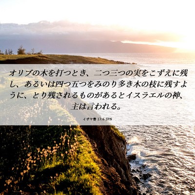 Picture 06 - イザヤ書 17:6 JPN - オリブの木を打つとき、二つ三つの - Bible Verse Picture