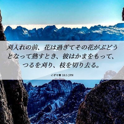 Picture 06 - イザヤ書 18:5 JPN - 刈入れの前、花は過ぎてその花がぶ - Bible Verse Picture