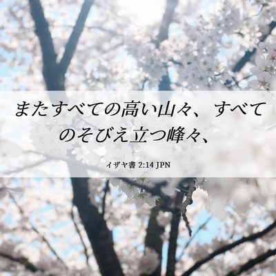 Picture 06 - イザヤ書 2:14 JPN - またすべての高い山々、すべてのそ - Bible Verse Picture