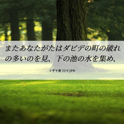 Picture 06 - イザヤ書 22:9 JPN - またあなたがたはダビデの町の破れ - Bible Verse Picture