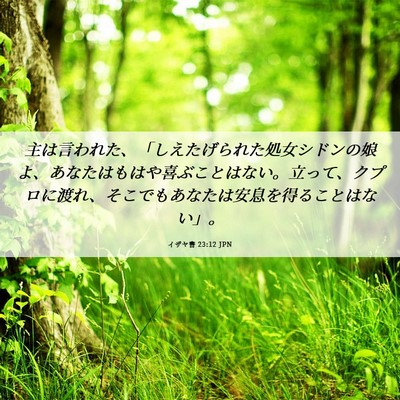 Picture 06 - イザヤ書 23:12 JPN - 主は言われた、「しえたげられた処 - Bible Verse Picture
