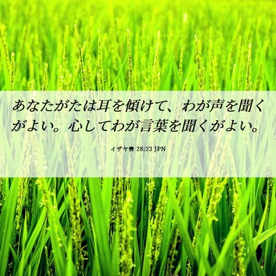 Picture 06 - イザヤ書 28:23 JPN - あなたがたは耳を傾けて、わが声を - Bible Verse Picture