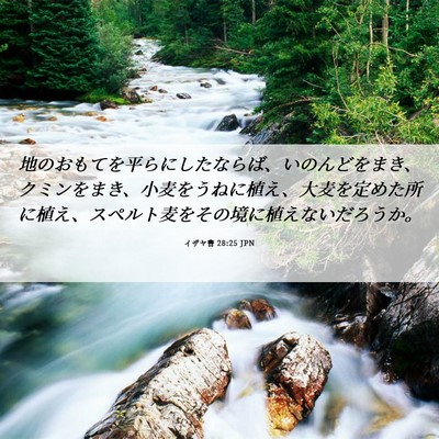 Picture 06 - イザヤ書 28:25 JPN - 地のおもてを平らにしたならば、い - Bible Verse Picture