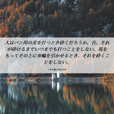 Picture 06 - イザヤ書 28:28 JPN - 人はパン用の麦を打つとき砕くだろ - Bible Verse Picture